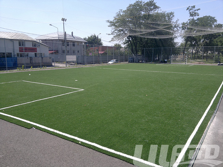 �����(ch��ng)�����ƺ