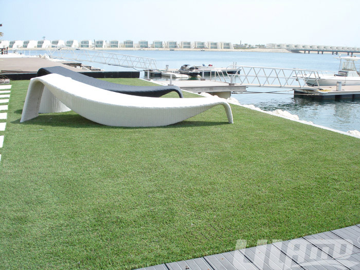 ���e�����ƺ