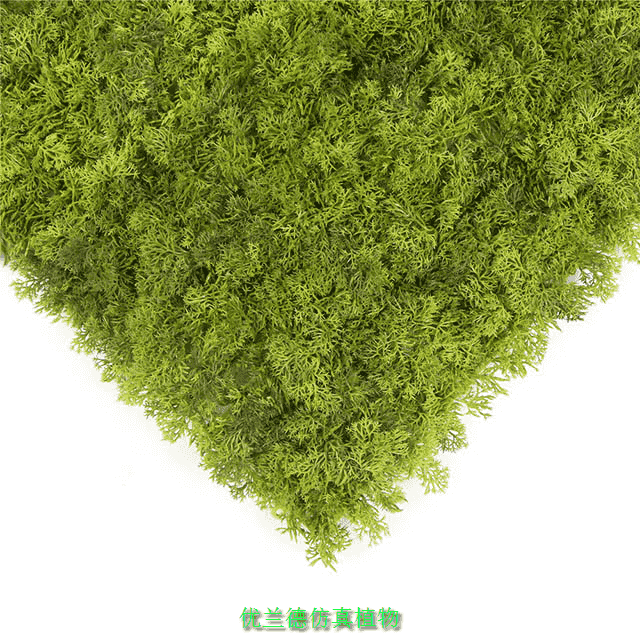 Ƭ�����ֲ��A123�����D