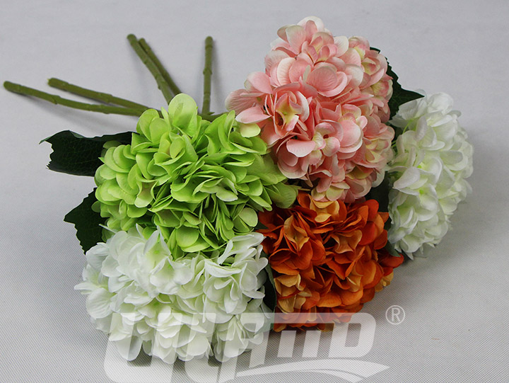 �����C��