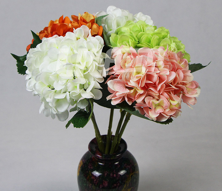 ����ֲ���C��