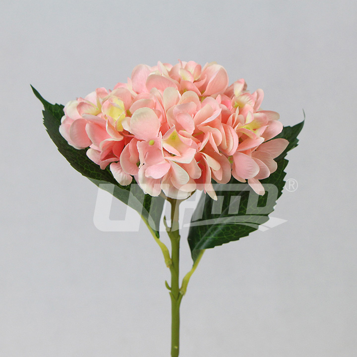 ����ֲ���C�򻨷�ɫ