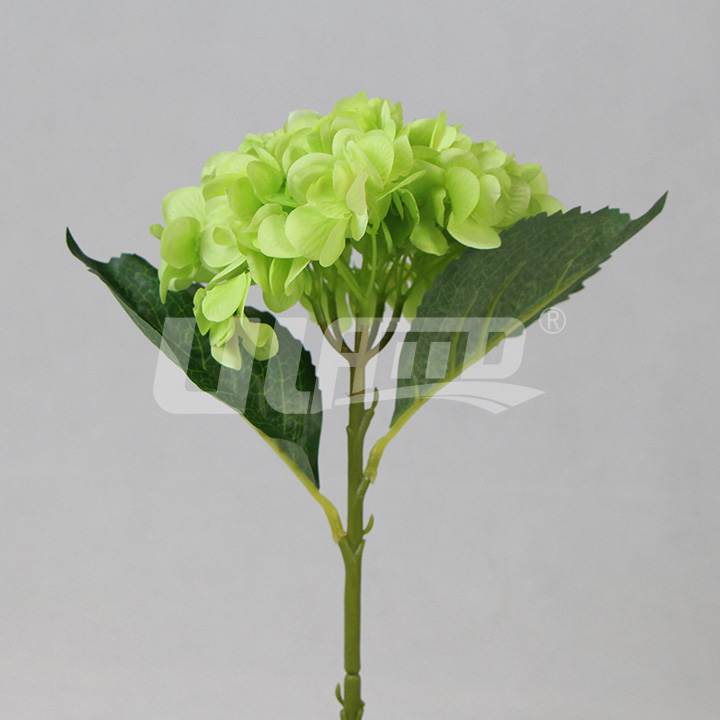 ����ֲ���C�򻨾Gɫ