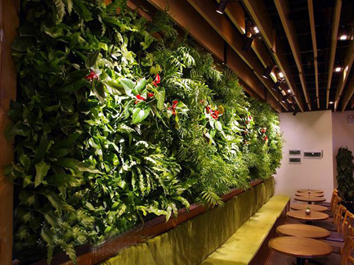 �Ƶ����ֲ�