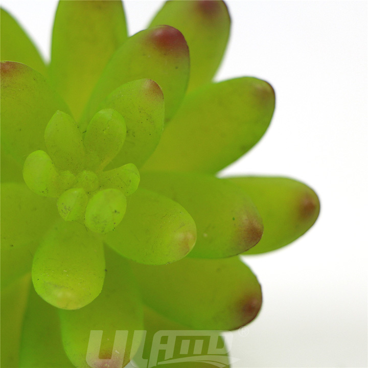 �������ֲ�����(ji��)�D