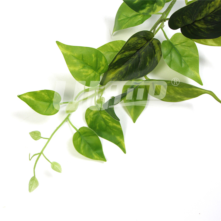 �����ٗl�����D