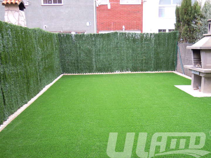 ��������ƺ�M��