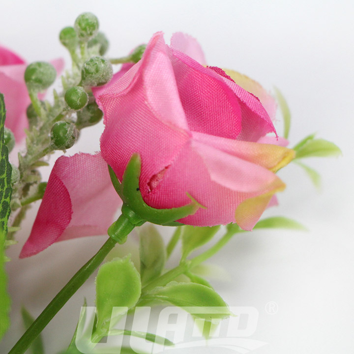 ����õ�廨F101