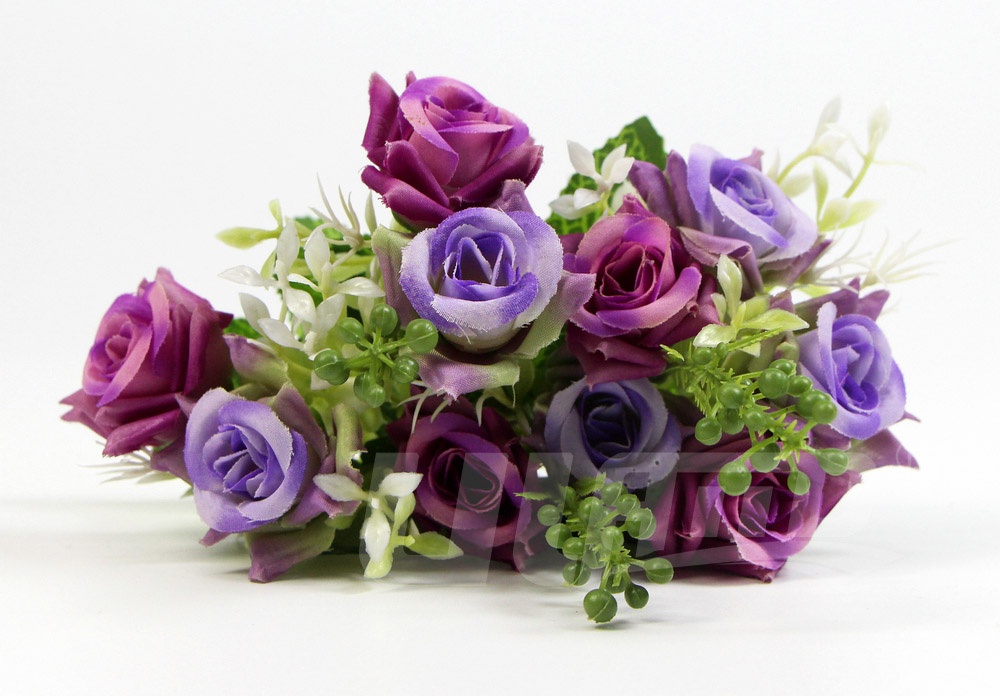 ����õ�廨F101