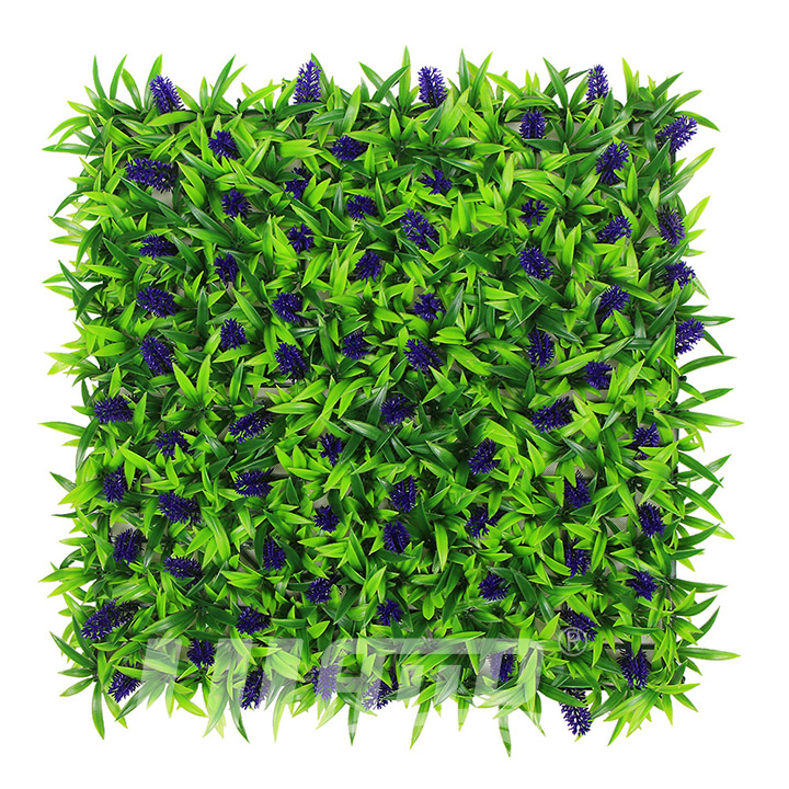 ����ֲ��޹�²�