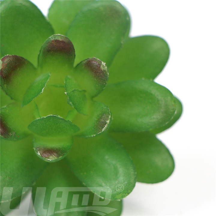 ����ֲ�����