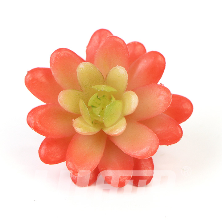 ����ֲ������ɫ