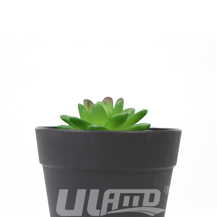 ����ֲ�����SW-0001