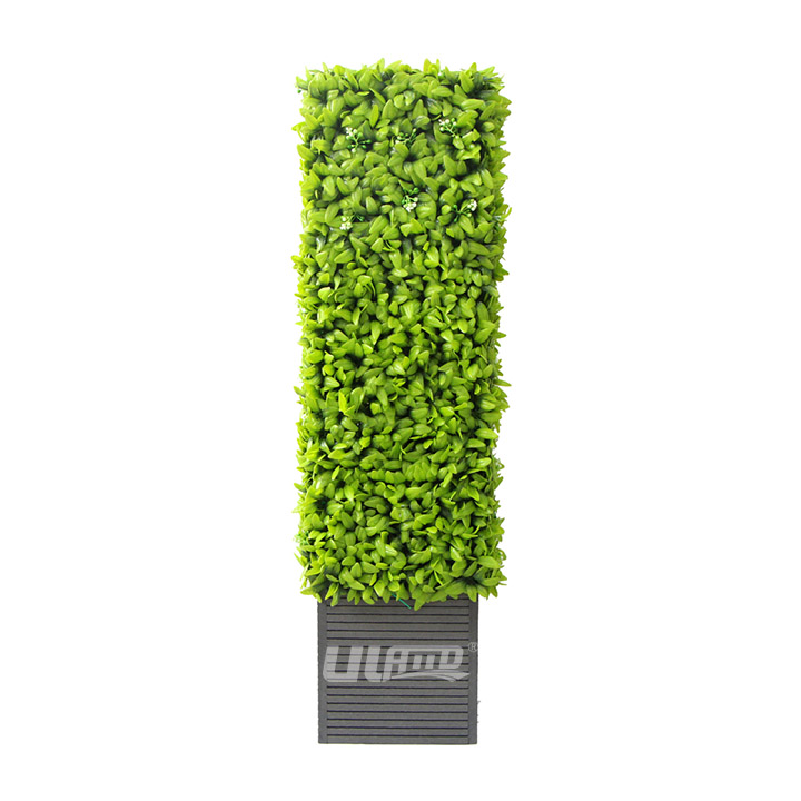 ����ֲ�����L����D