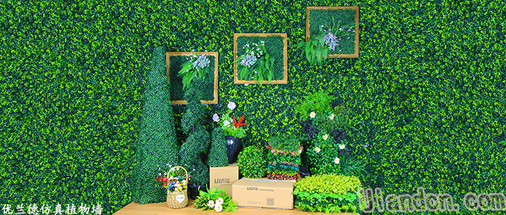 南京優蘭德仿真植物墻