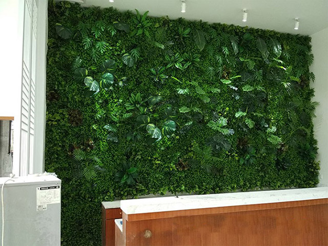 ǰ�_����ֲ�ﱳ����