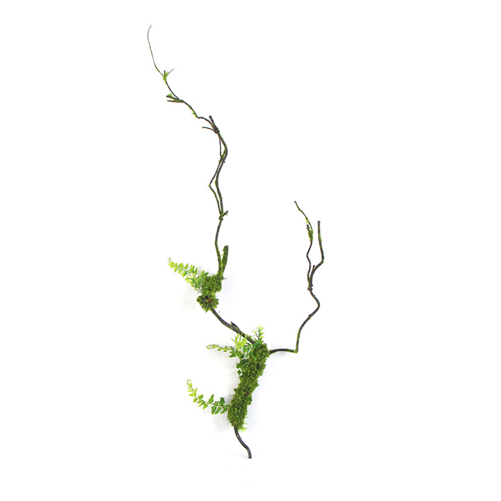 ��̦���Ϳݘ�(sh��)֦