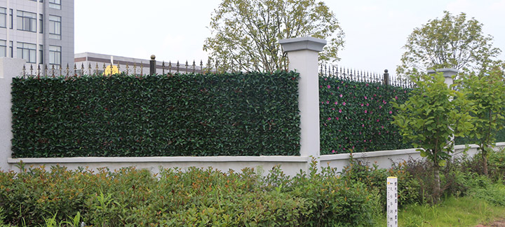 廠區圍墻綠化裝飾