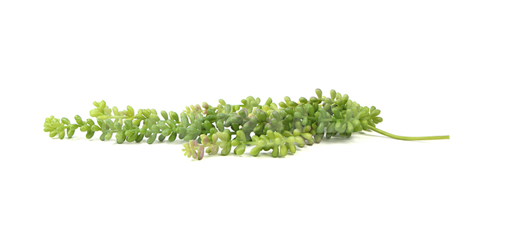 ��������ֲ�������Y