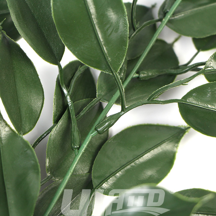 ����ֲ��BG047�����D