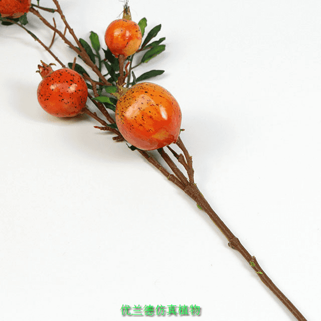 ����ʯ���֦��ʯ��