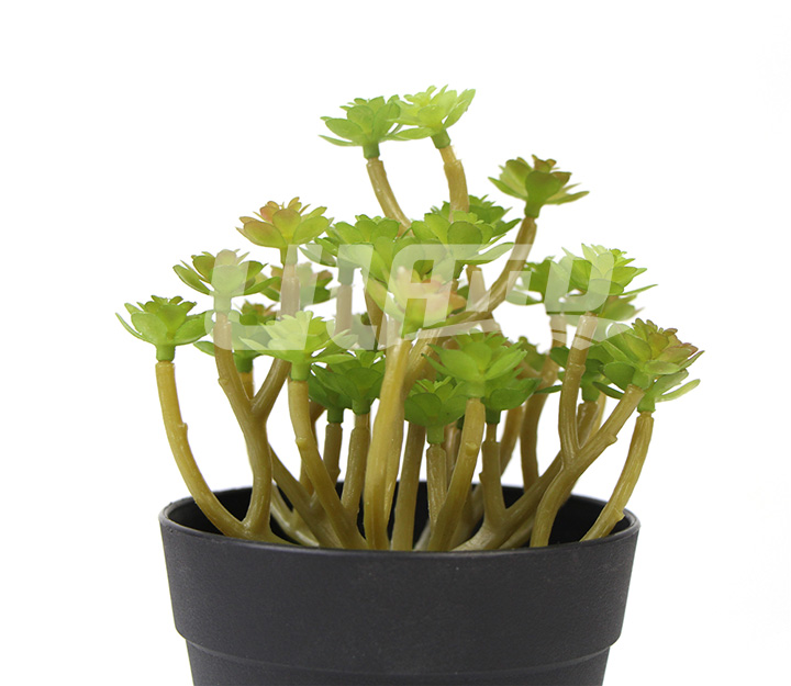 �ٶ���ֲ��SW-0085