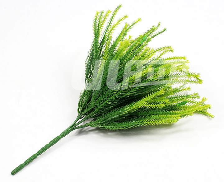 �����ֲ��ʯ��