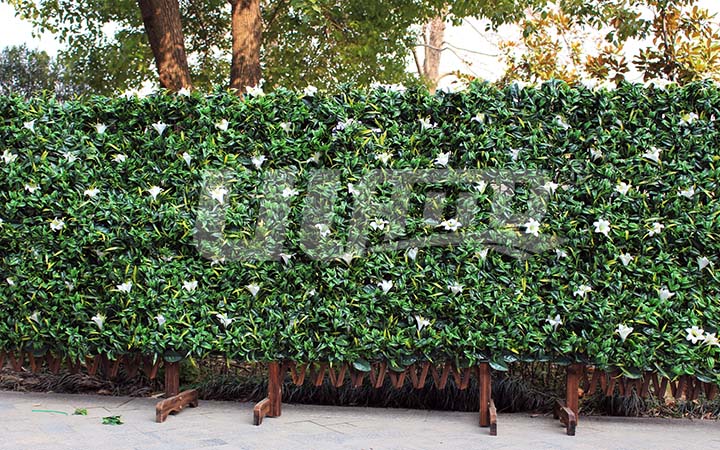 ����ֲ�����