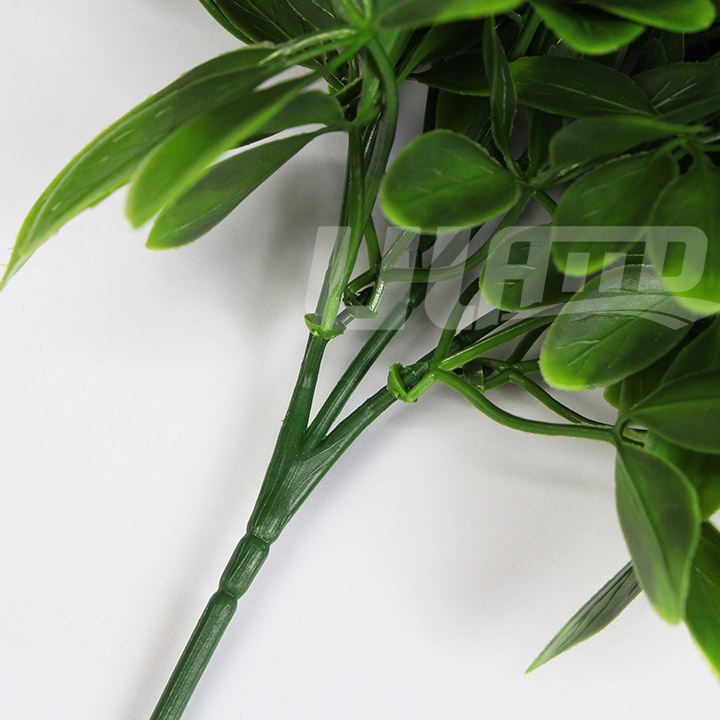 ����GֲD046�����D