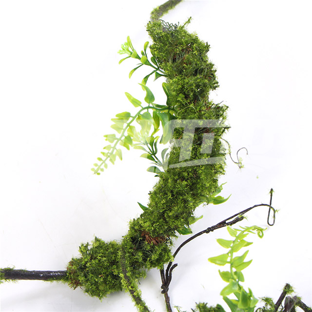 �����ѿ�ɗl�L��