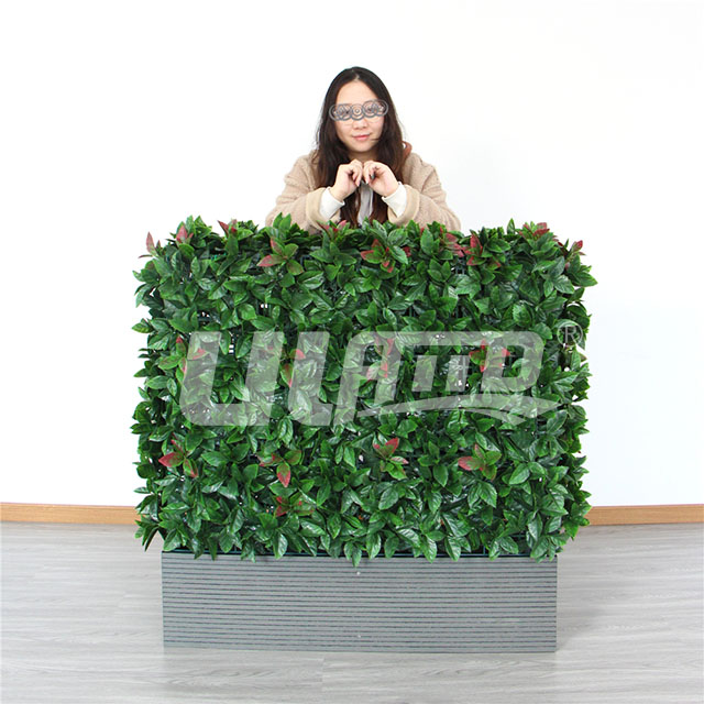 ����ֲ�����L