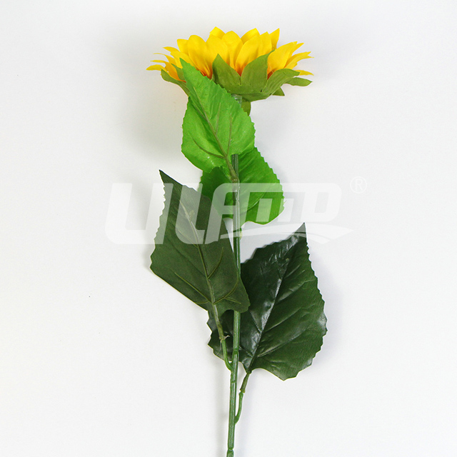 ���տ��ٻ���