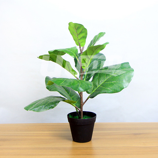 ��������ֲ��ΗU���~��