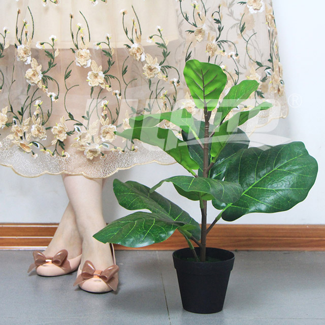 ��������ֲ�����~��