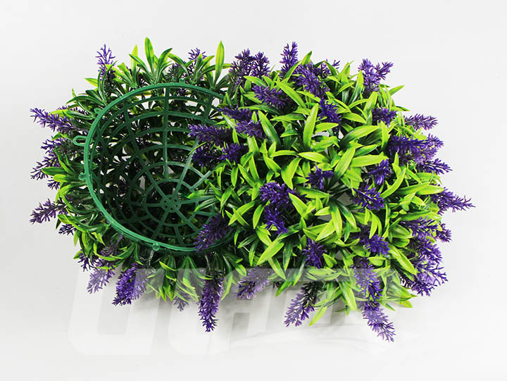 ����ֲ��޹�²���