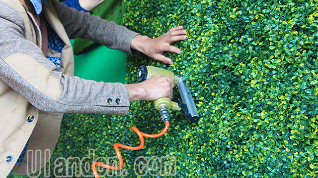 �Ͼ�����ֲ�ʩ��