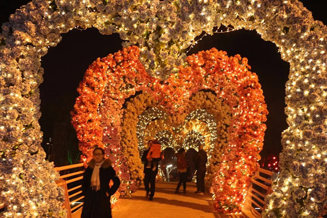 ���滨����