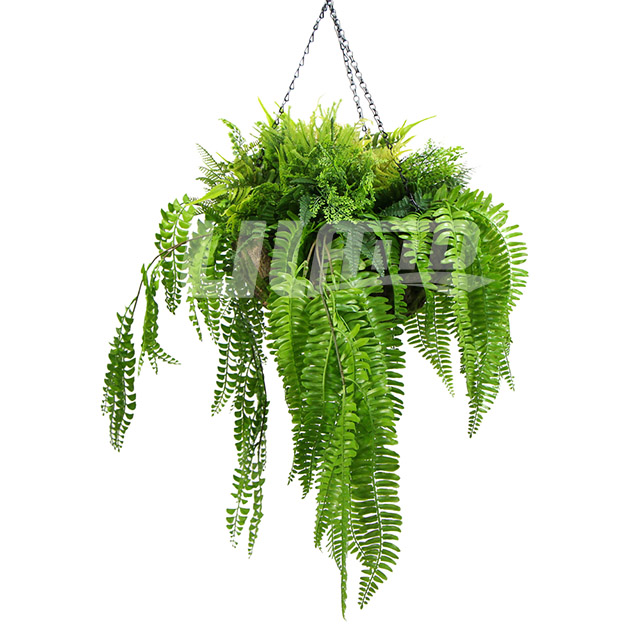 ����Gֲ���@