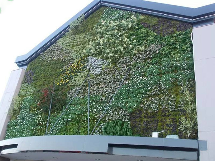 �≦����Gɫֲ�