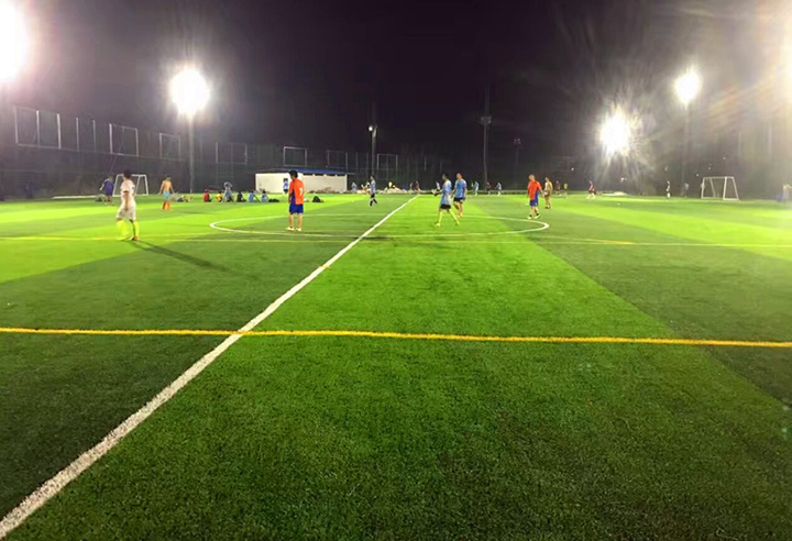 �����ƺ�����