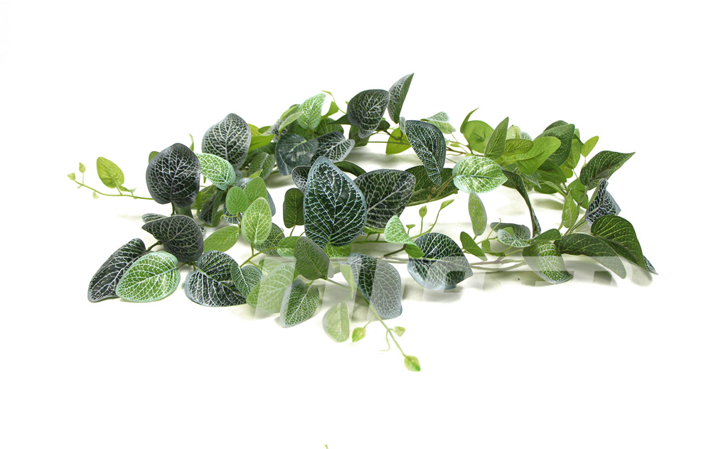 ����׾W(w��ng)�ٗl