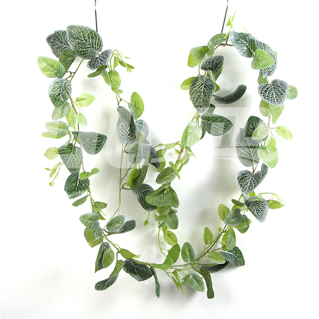 ����ֲ��׾W(w��ng)�ٗl