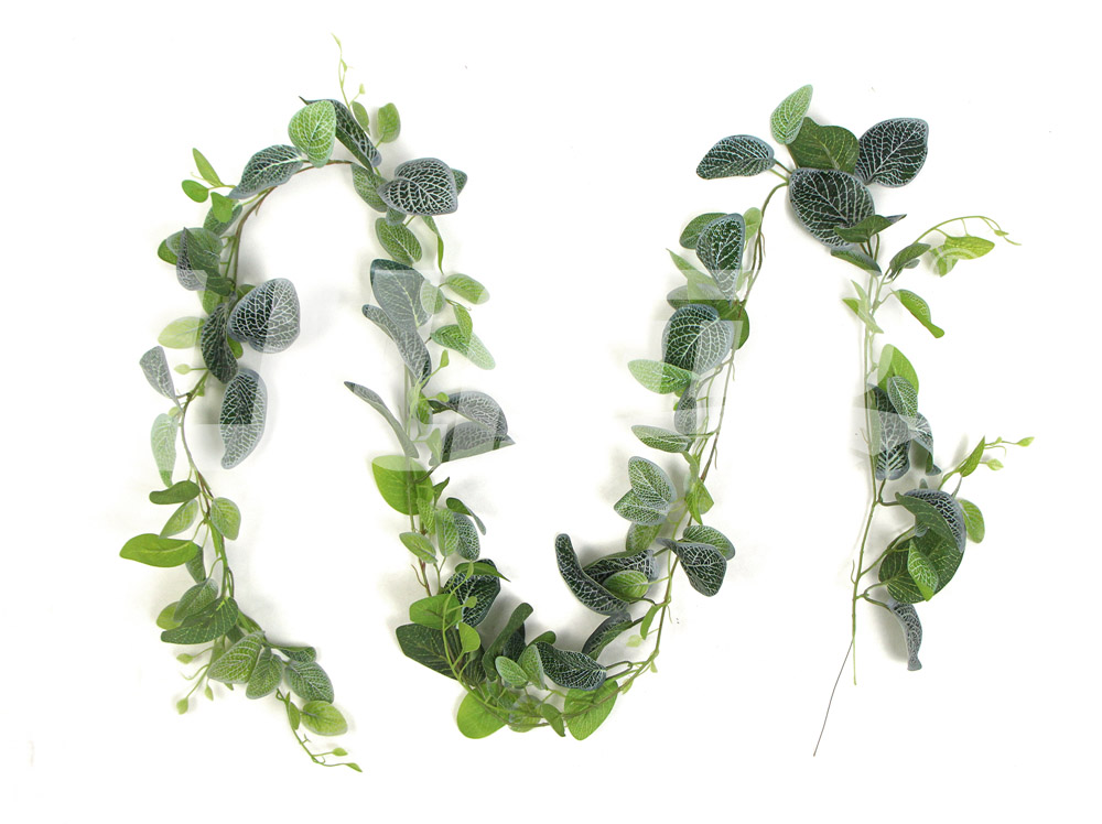 ����ֲ��׾W(w��ng)�ٗl