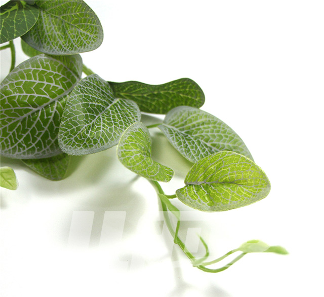 �׾W(w��ng)�ٗl