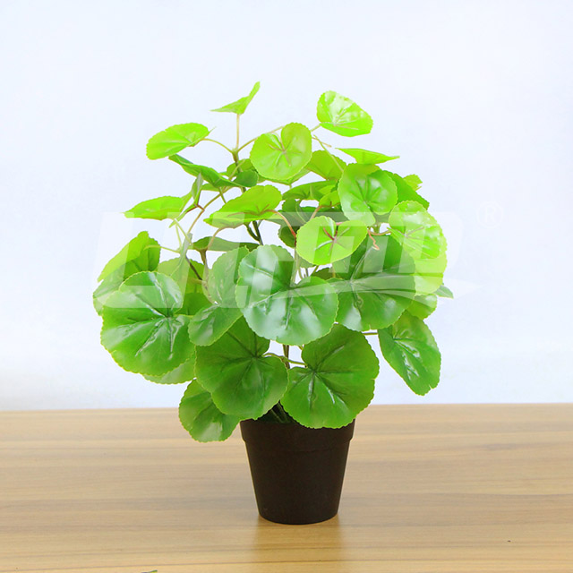 ����С���ԾG����