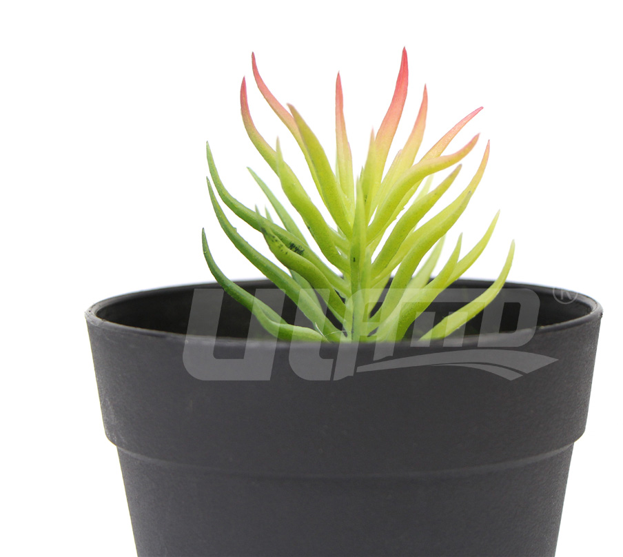 仿真植物假多肉