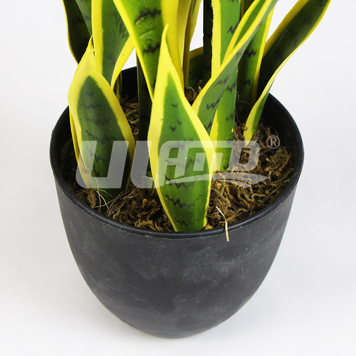 ����С���Խ�߅��β�m