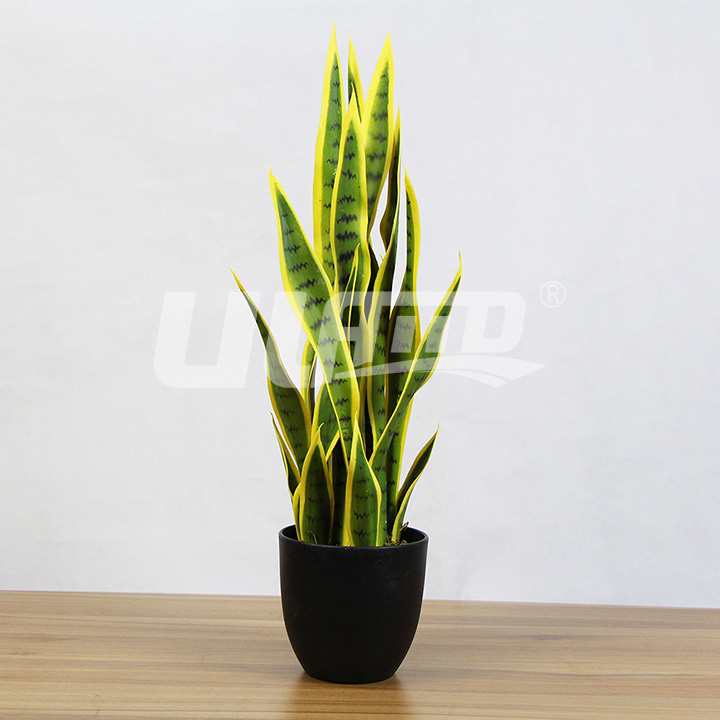 ����С���Խ�߅��β�m