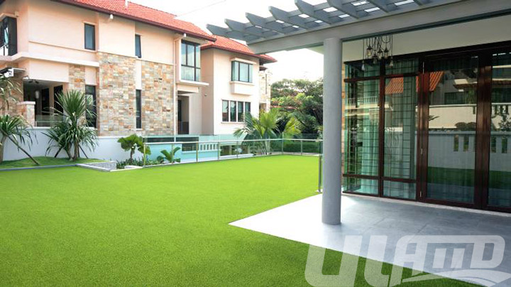 �����ƺ�S��