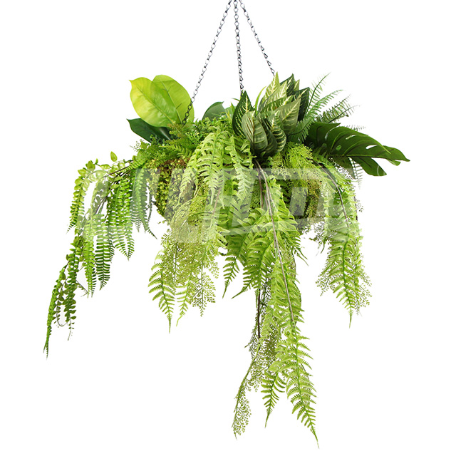 �b��÷���ֲ����@